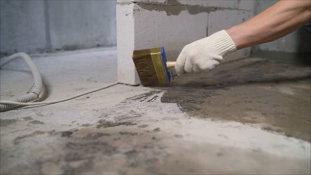 Top rated local Wet Basement Repair specialists in Leslie, MI